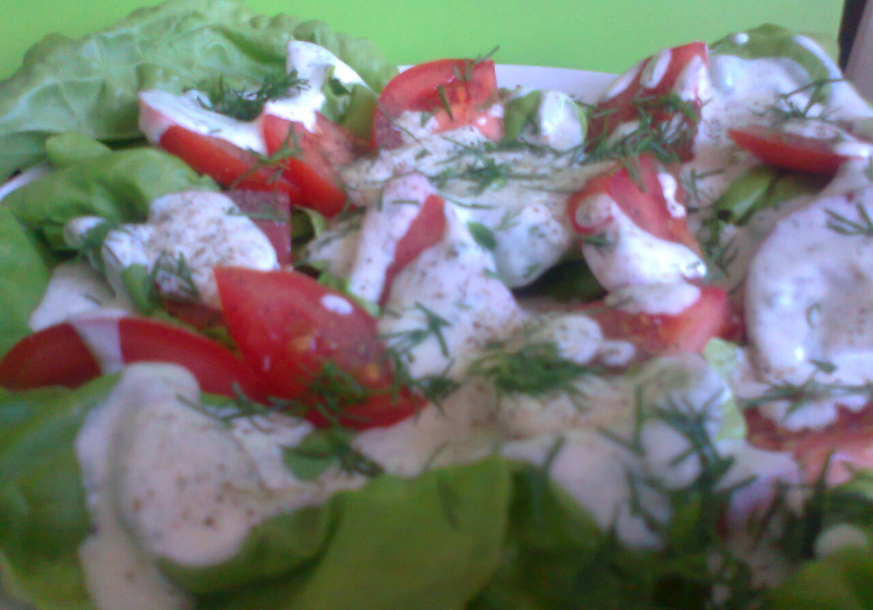 sałatka z sałaty i pomidorów z sosem kefirowo-ziołowym foto