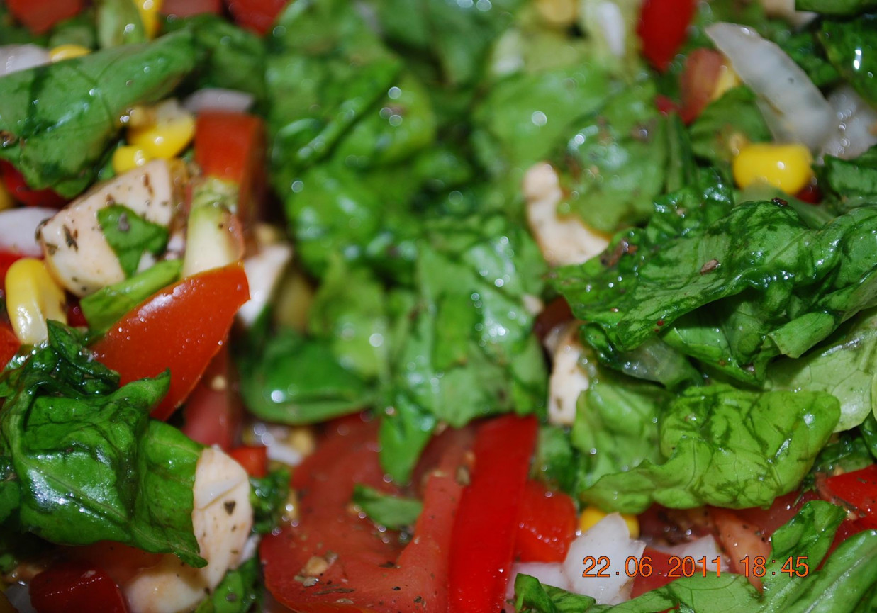 salatka z serem mozarella foto