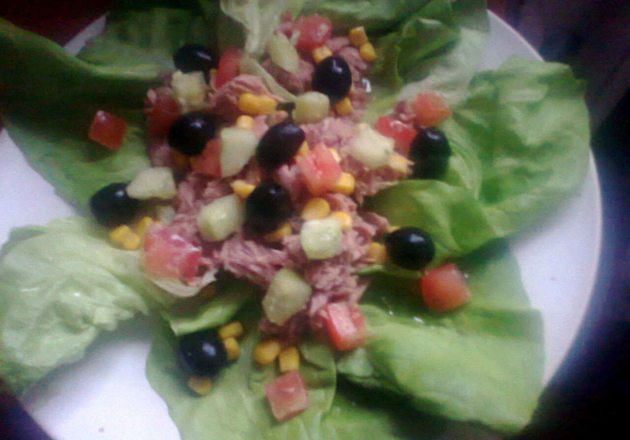 sałatka z tuńczykiem na sałacie foto