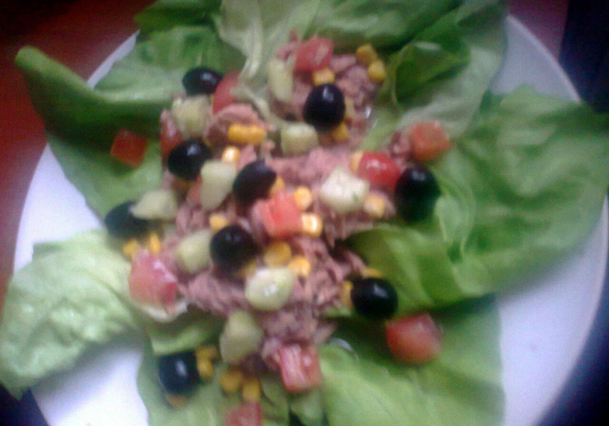 sałatka z tuńczykiem na sałacie foto