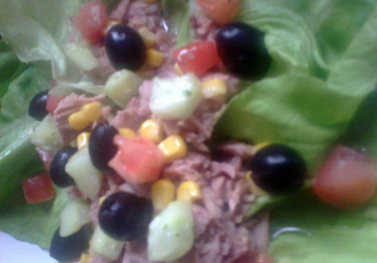 sałatka z tuńczykiem na sałacie foto