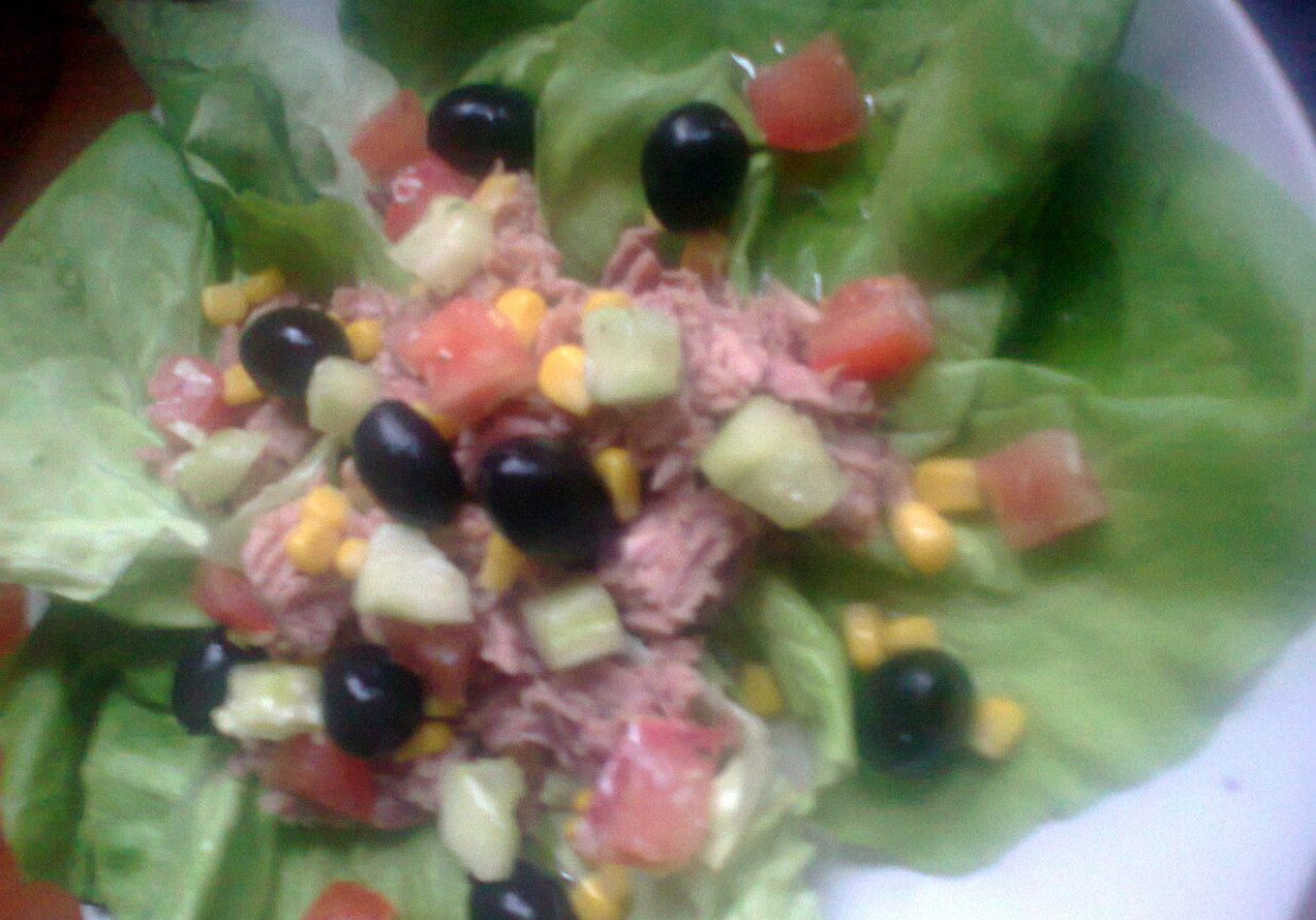 sałatka z tuńczykiem na sałacie foto