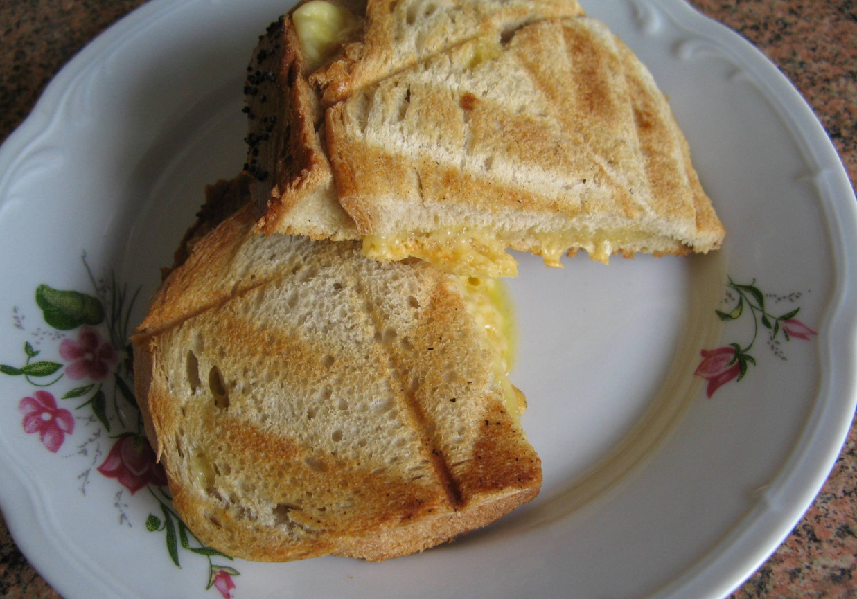 Sandwich z ogórkiem i kiełbasą foto