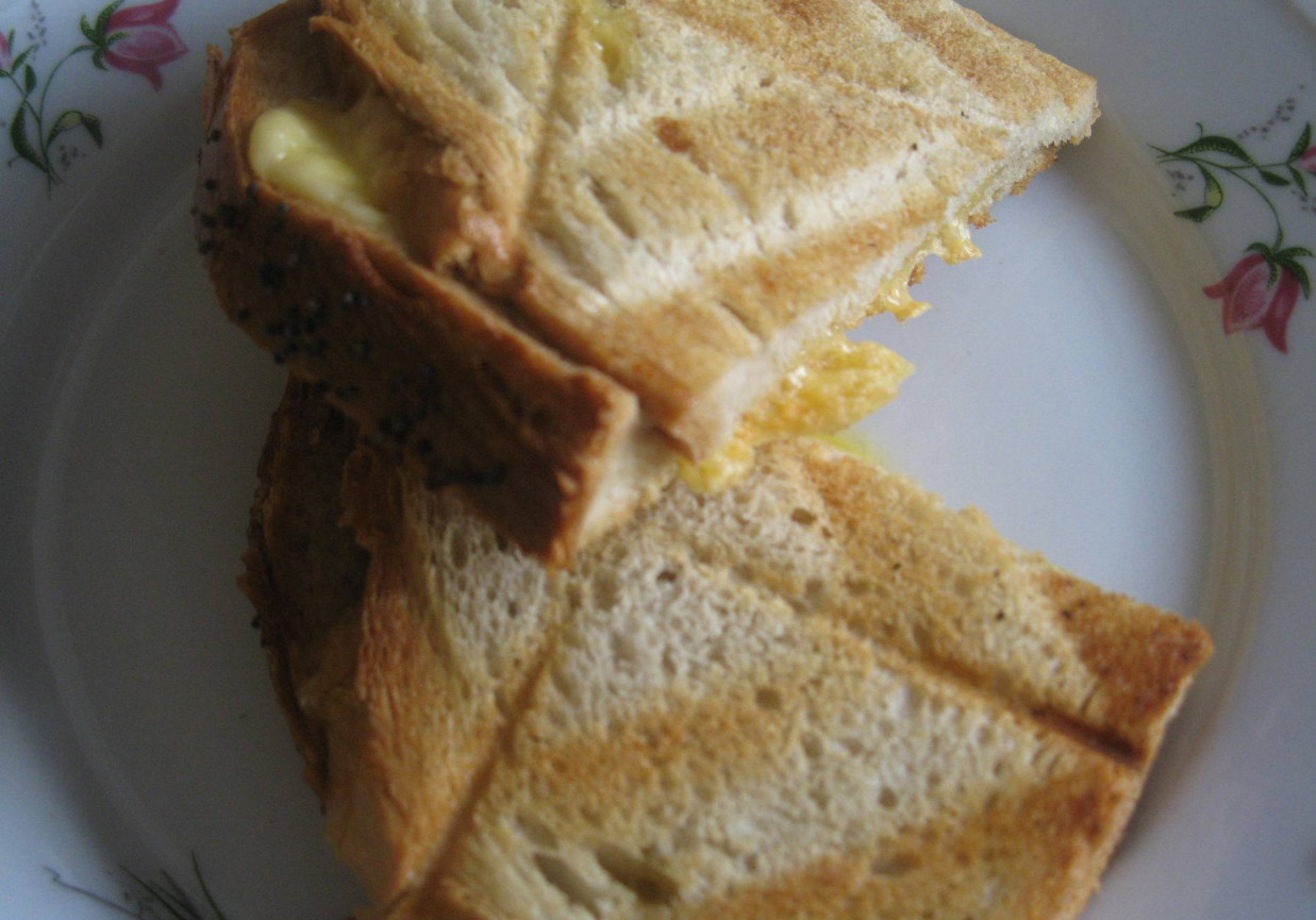 Sandwich z ogórkiem i kiełbasą foto