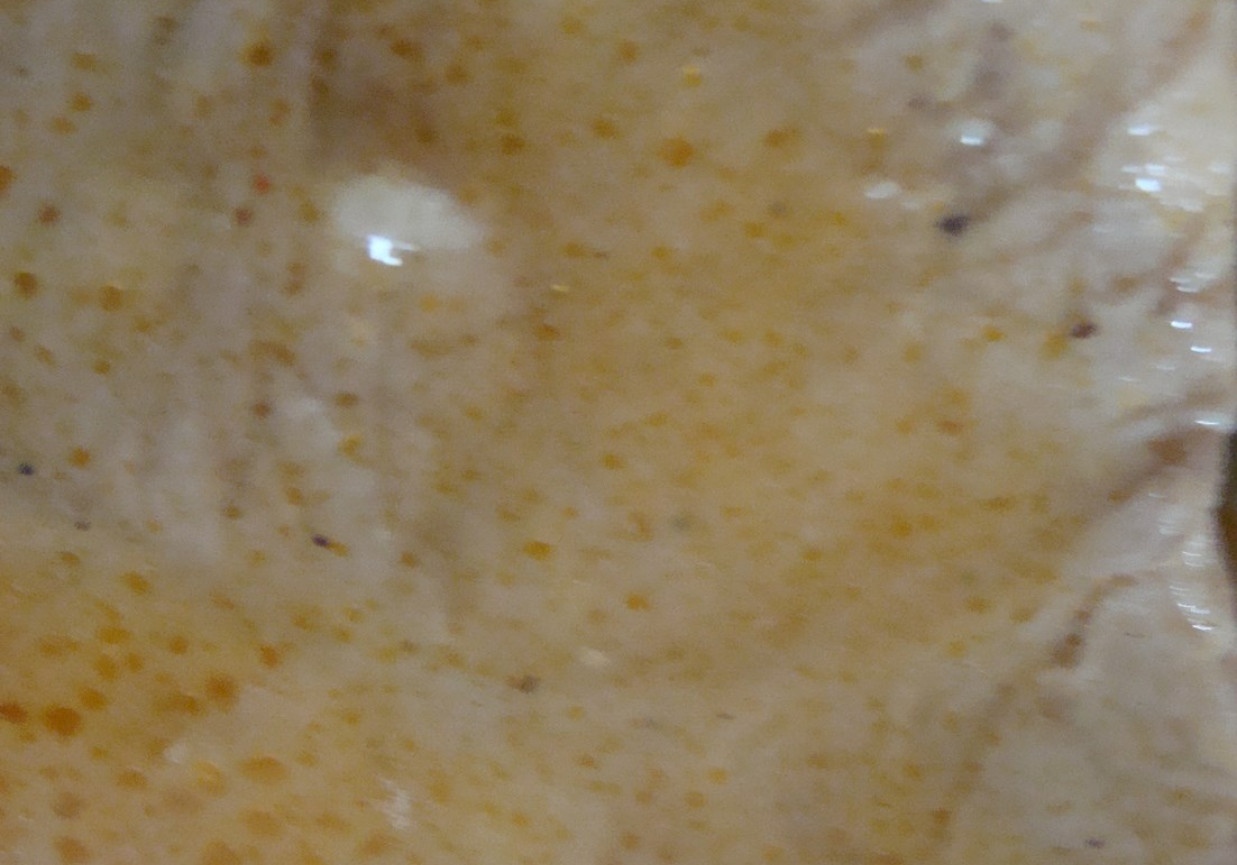 Schab w sosie słodko-kwaśnym foto