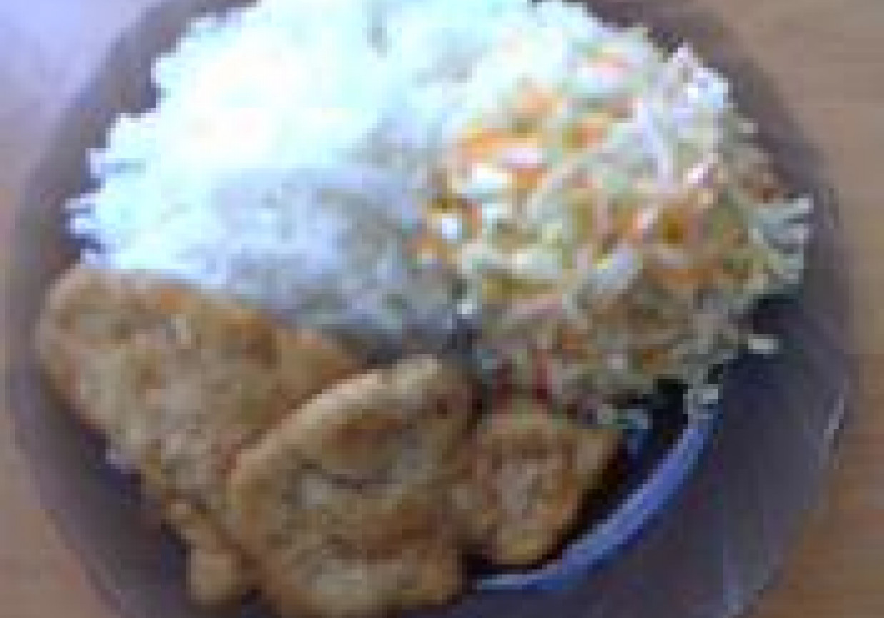 Schabowy z ryżem i surówką foto