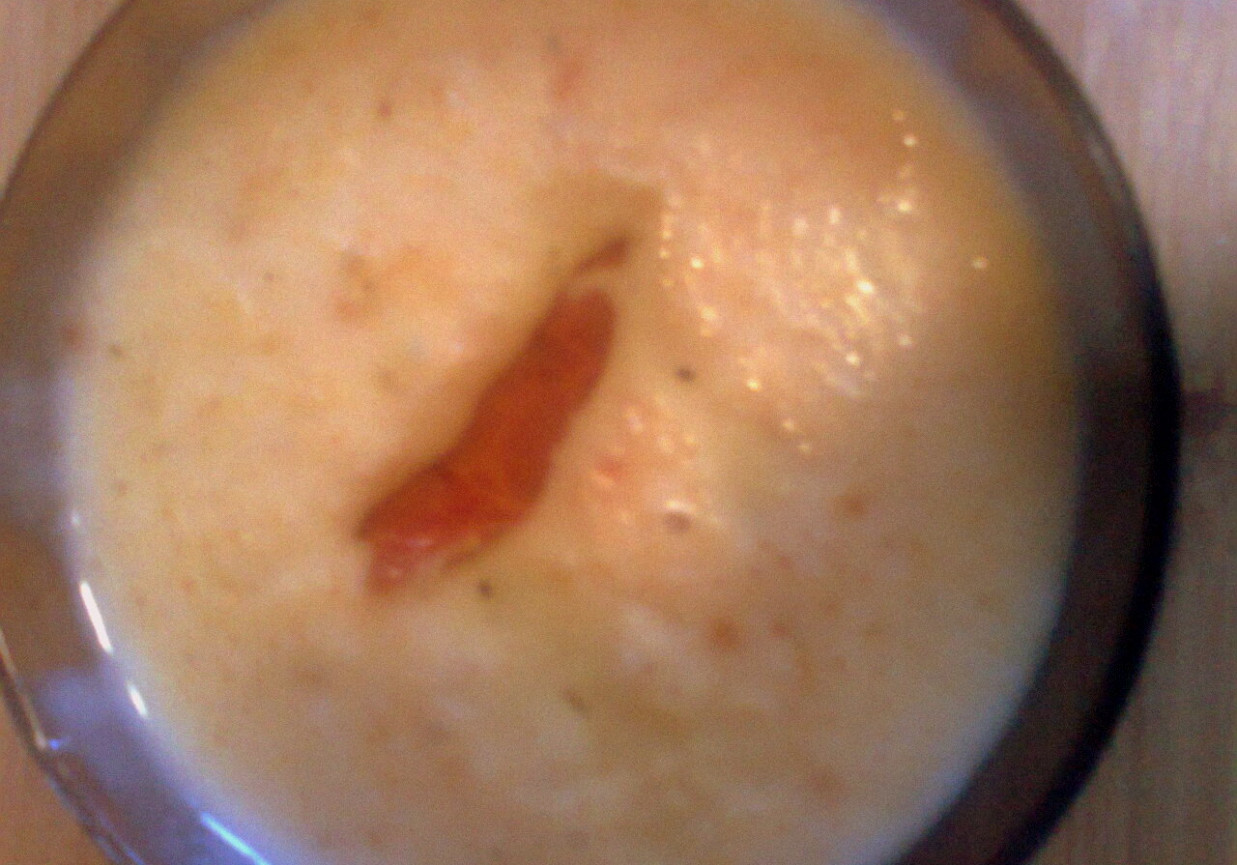 Serek domowy topiony z papryką i przyprawą Smak Lata foto