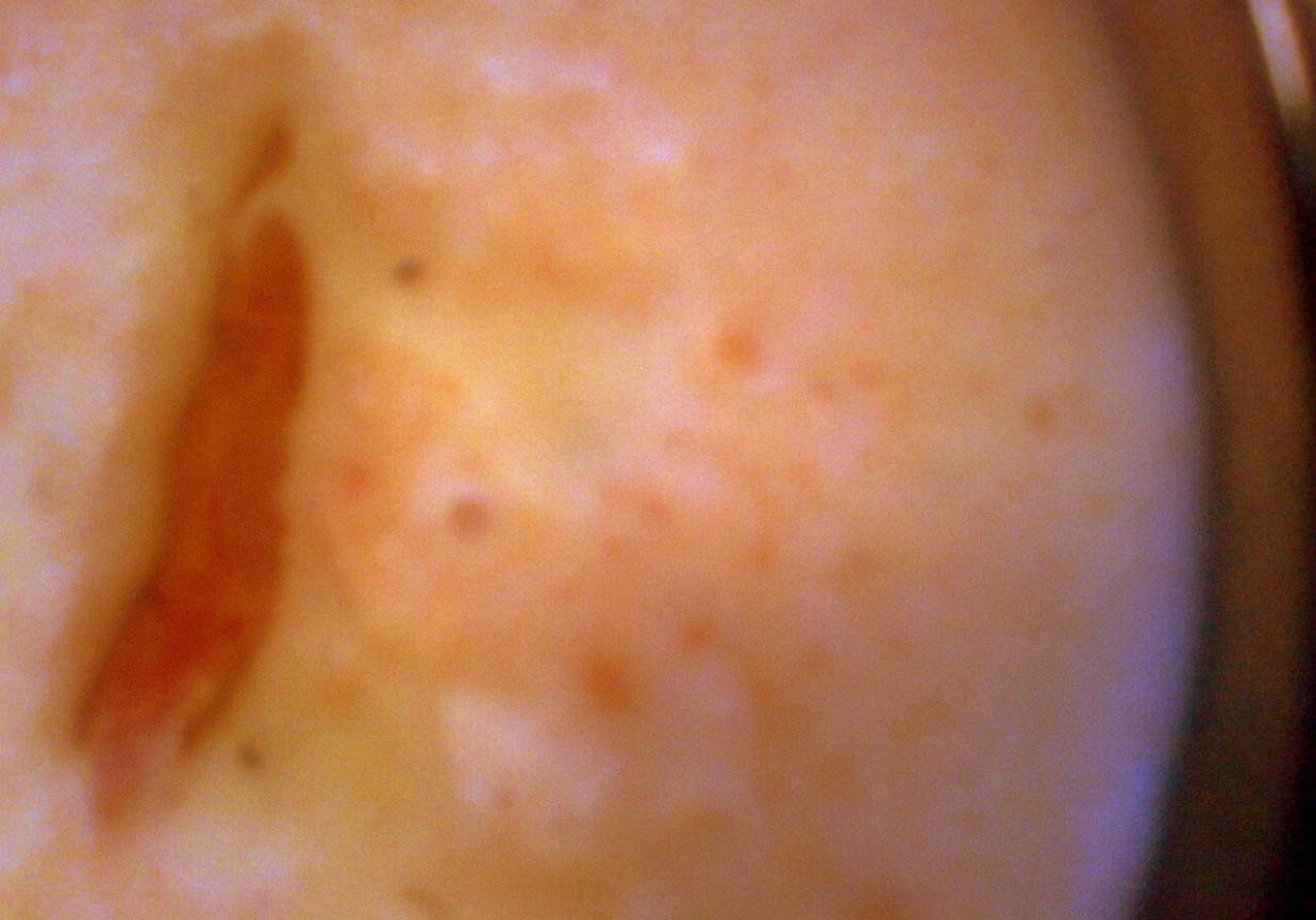 Serek domowy topiony z papryką i przyprawą Smak Lata foto