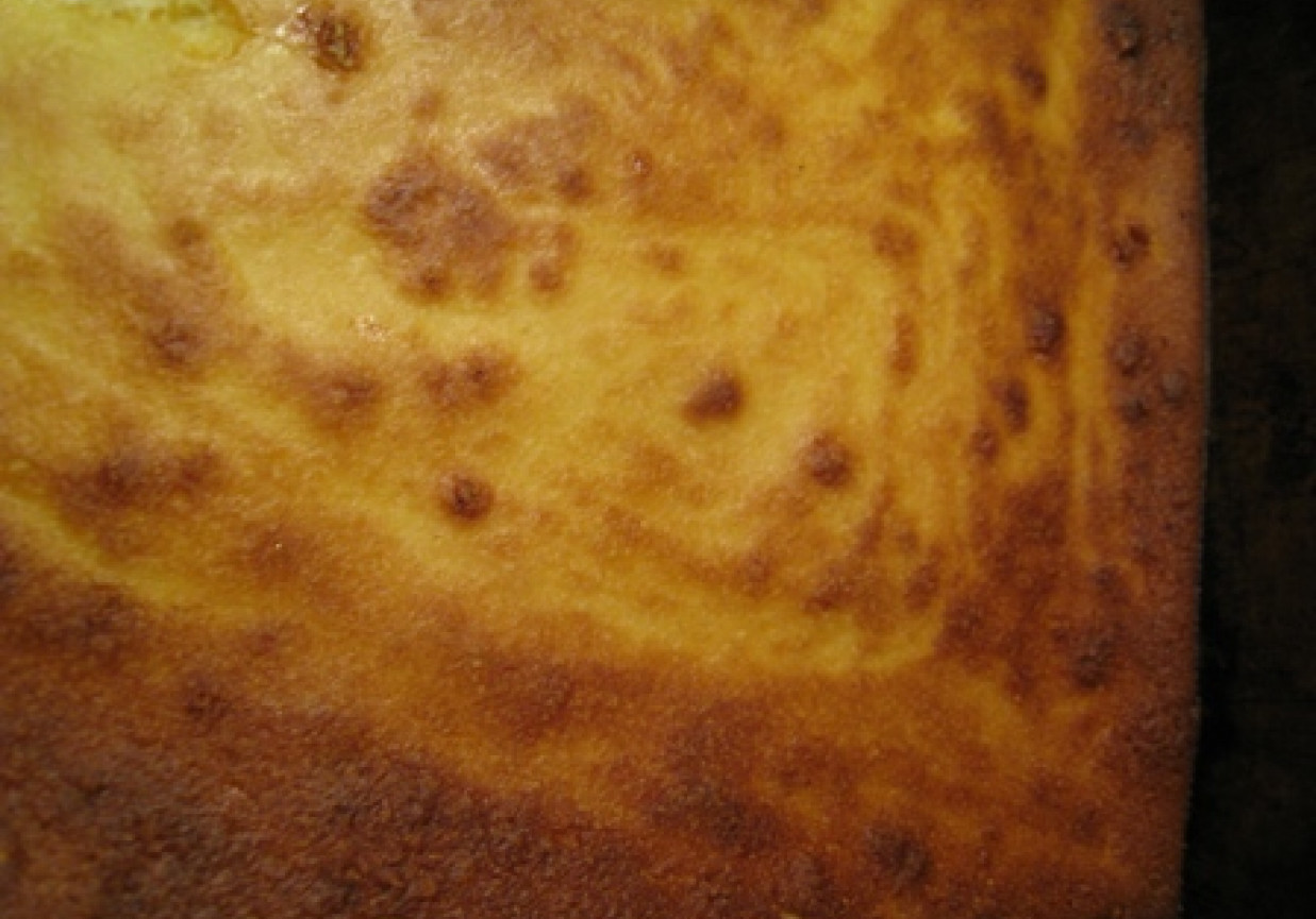 serniczek śmietnikowiec foto