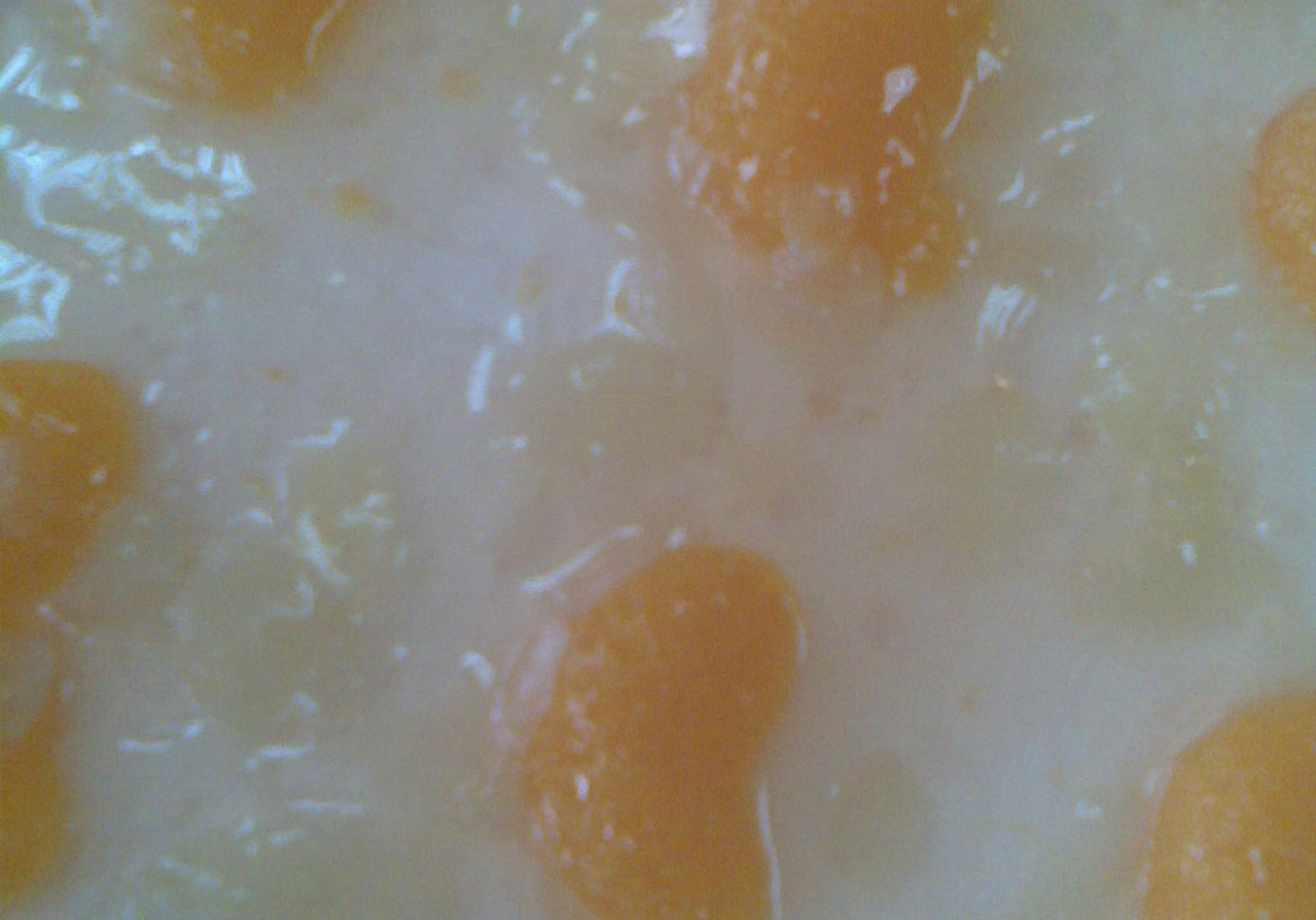 Sernik na zimno z mandarynkami i galaretk? foto