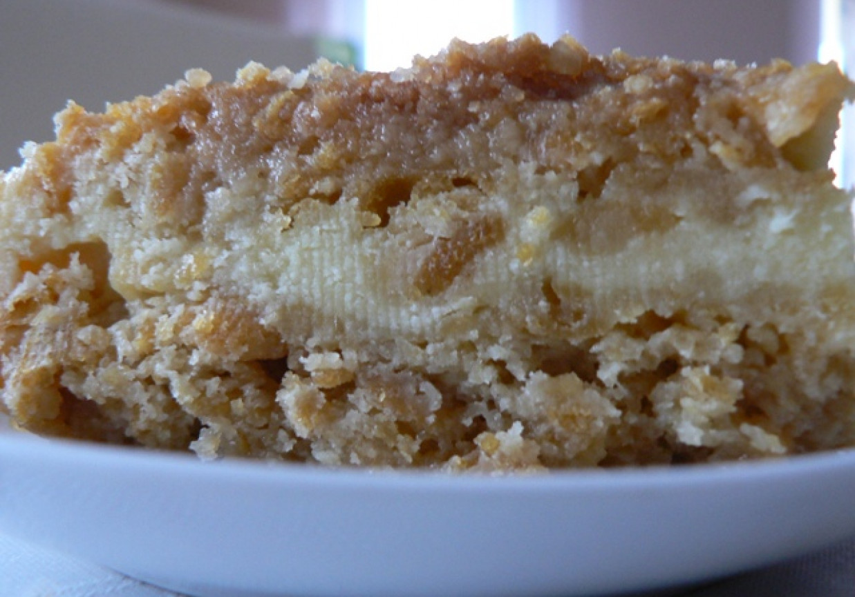 SERNIK PŁATKAMI KUKURYDZIANYMI foto