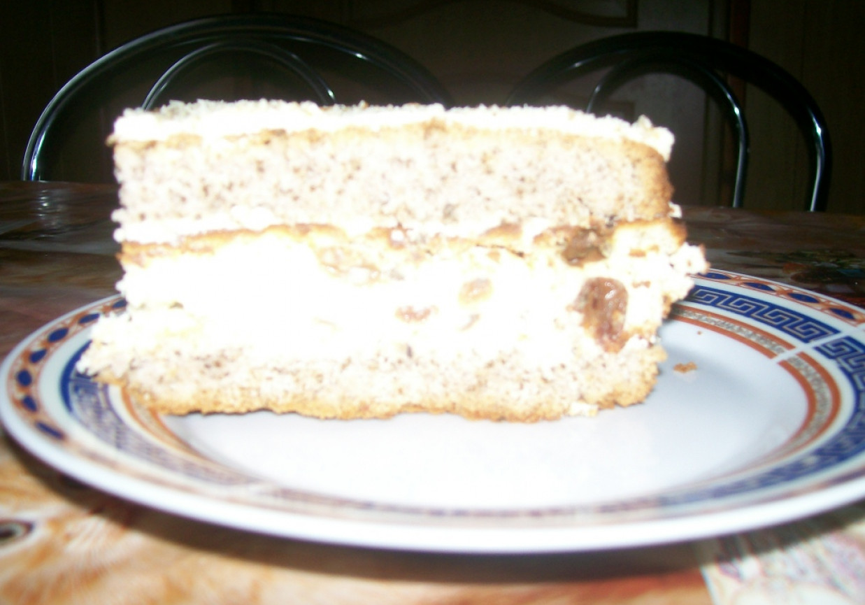 sernik z biszkoptem orzechowym foto