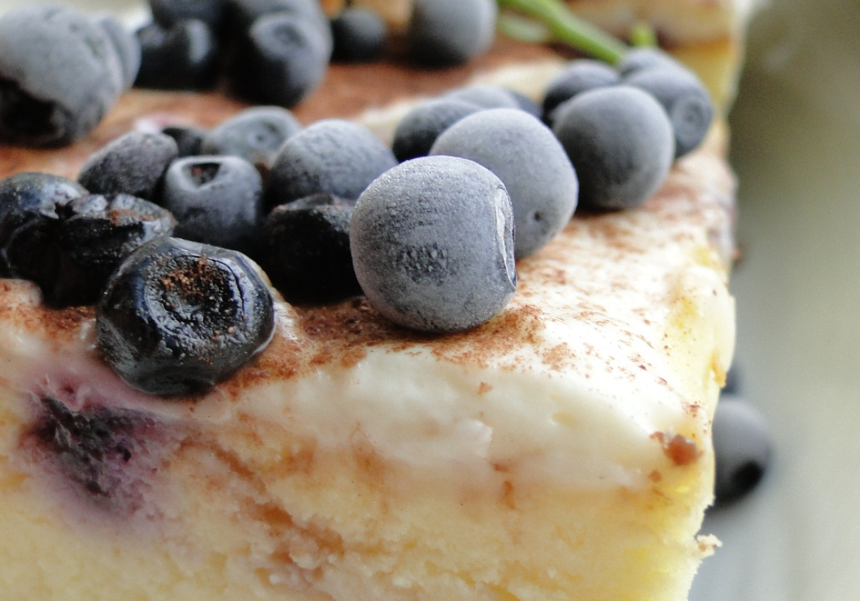 Sernik z jagodami na kawowym brownie foto