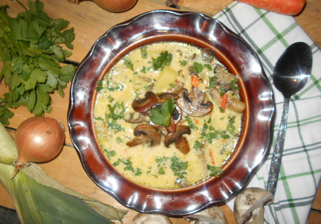 Serowa zupa grzybowa z włoszczyzną foto