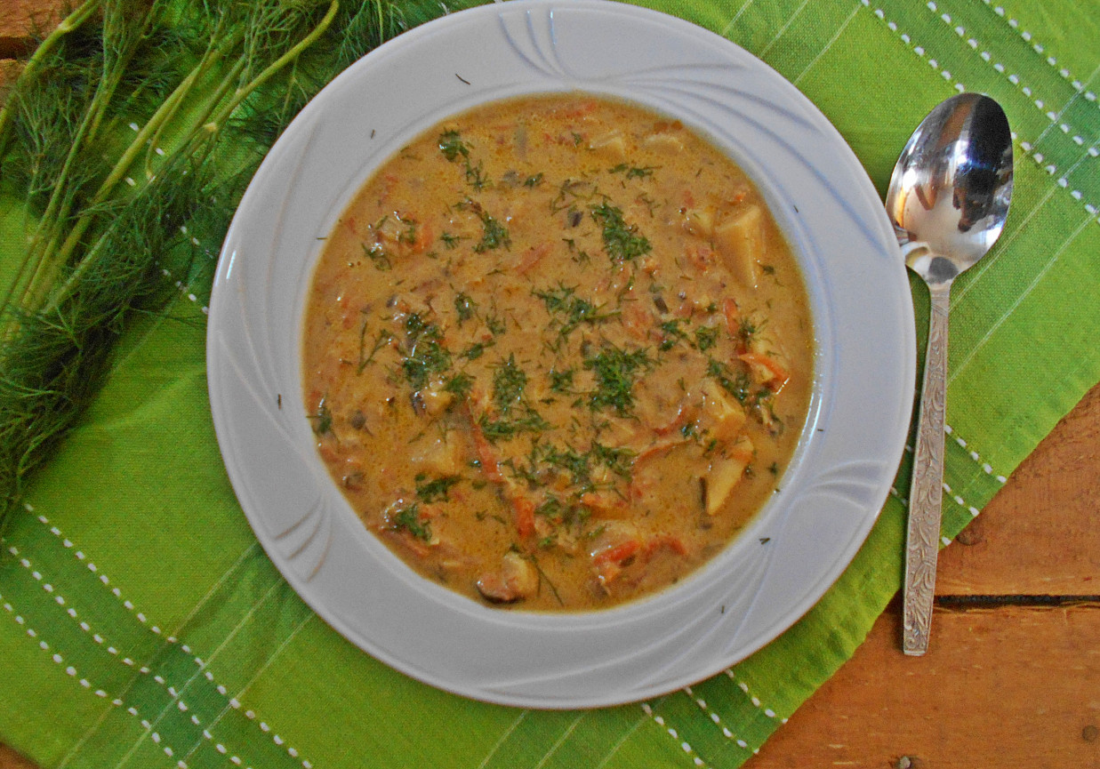 Serowa zupa ogórkowo-porowa foto