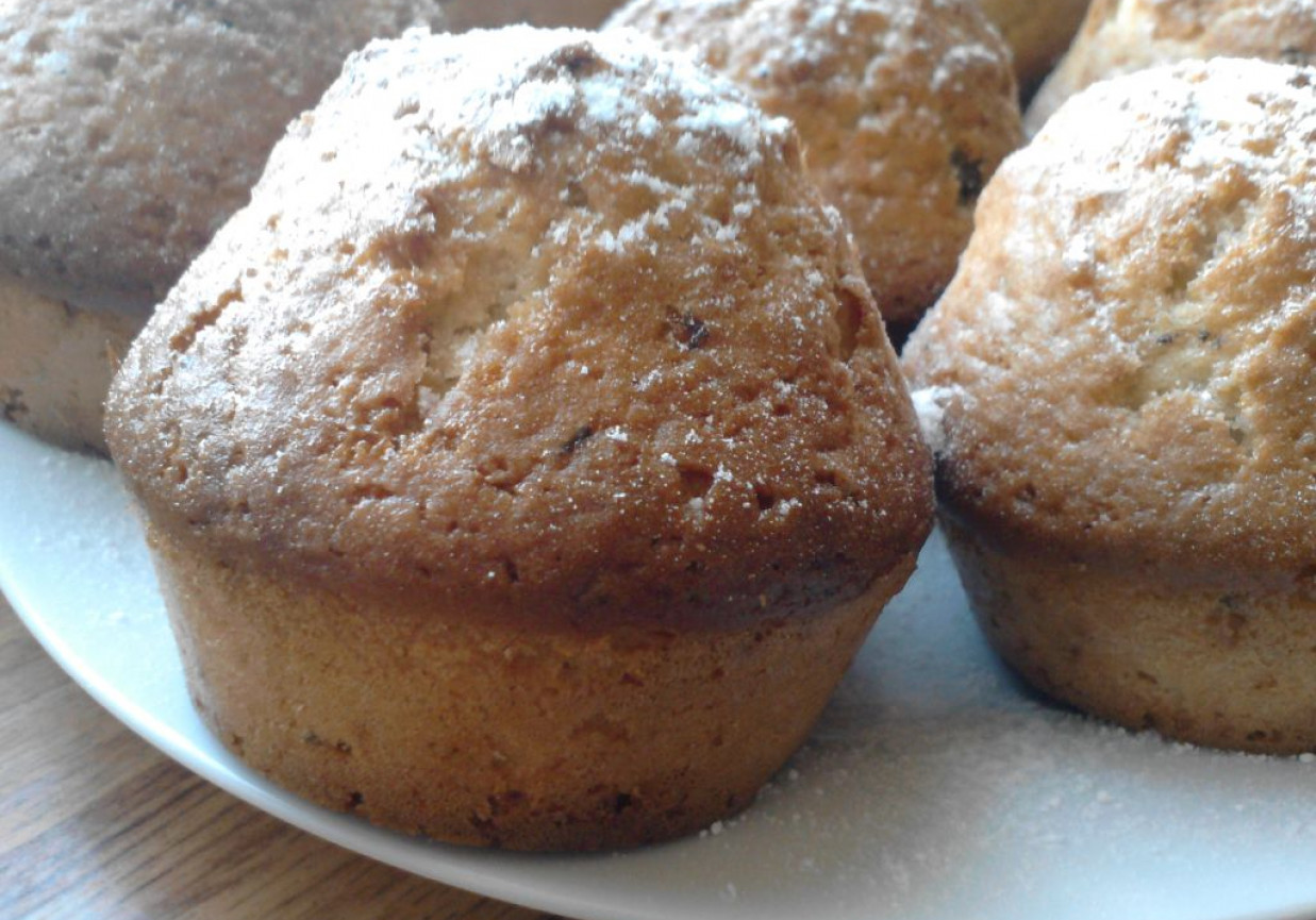 Serowe muffiny z drobinkami czekolady foto