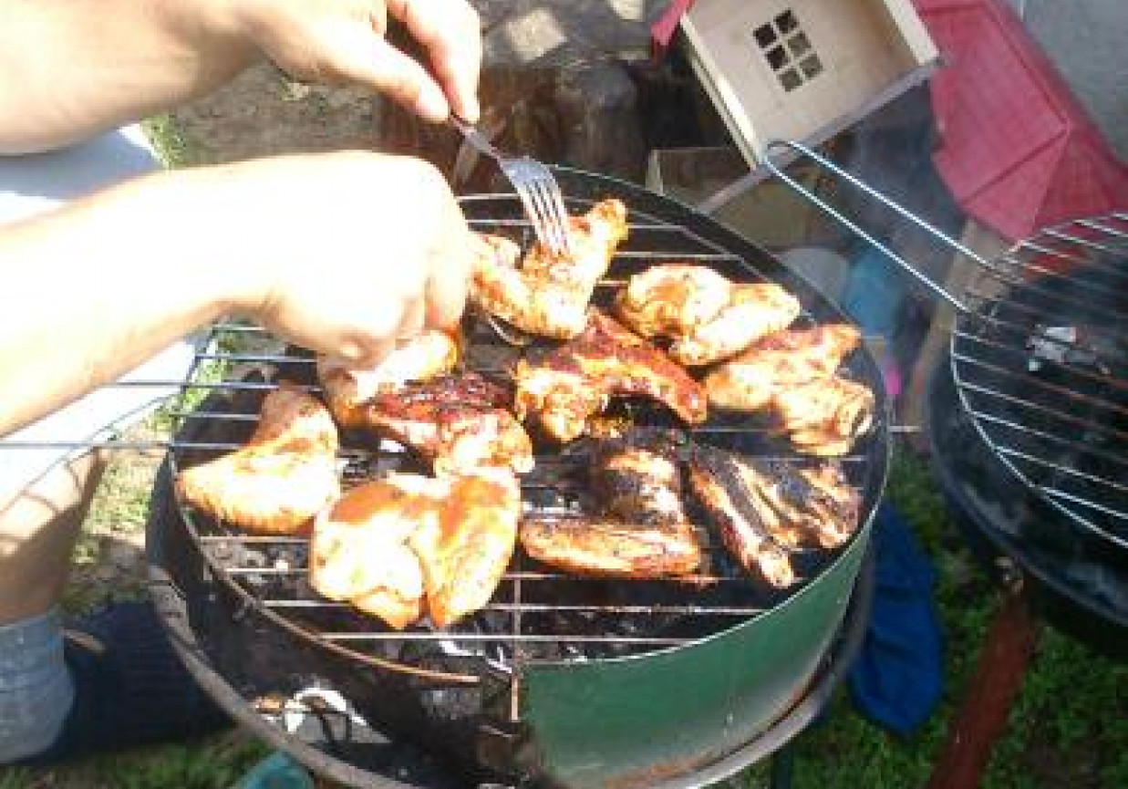 SKRZYDEŁKA PIKANTNE foto