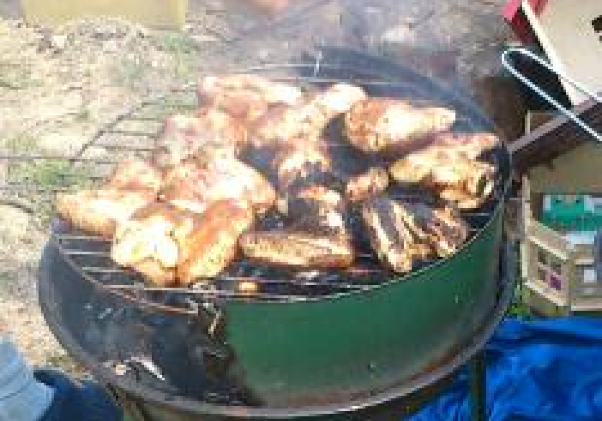 SKRZYDEŁKA PIKANTNE foto