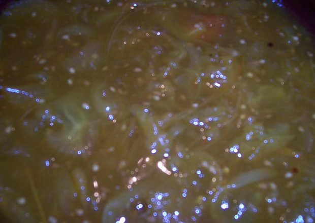 Fotografia przedstawiająca smażone pomidory zielone