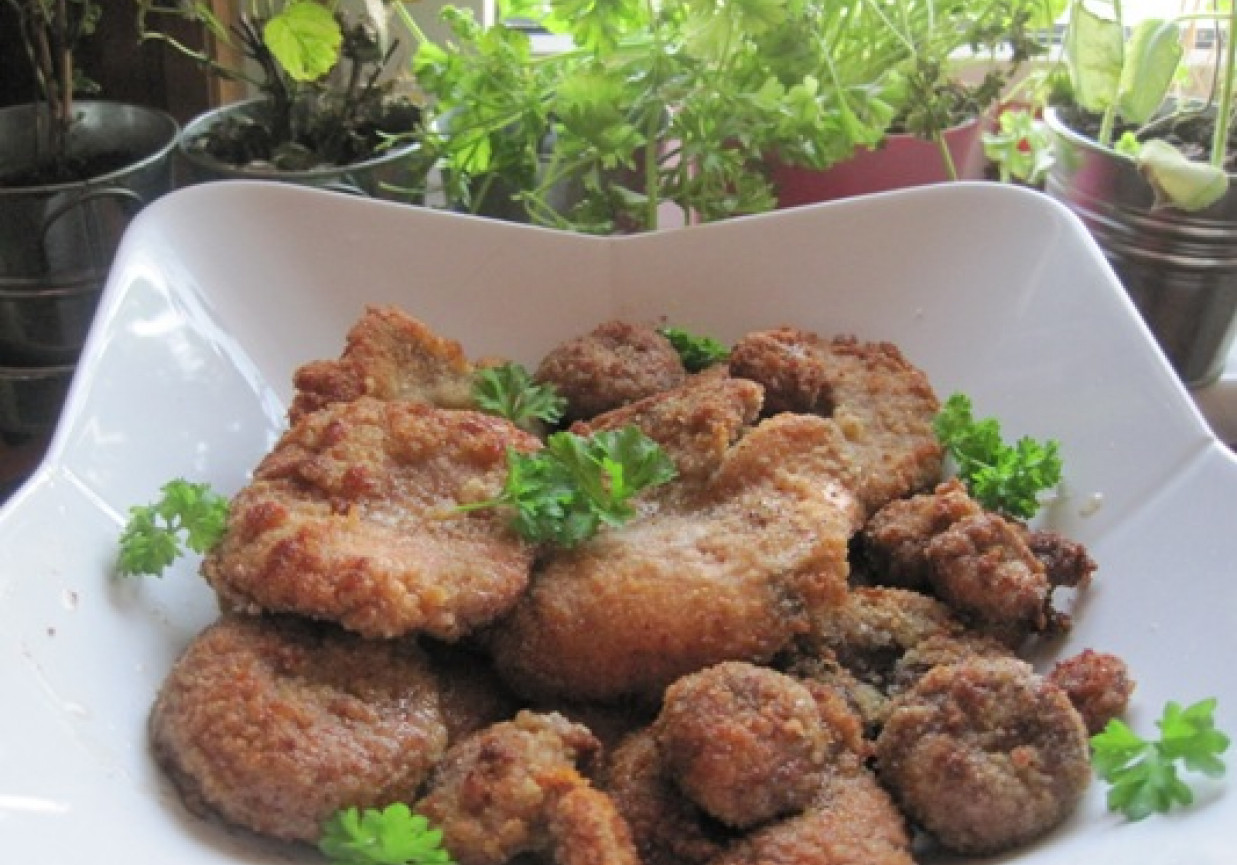 Smażone rydze panierowane foto