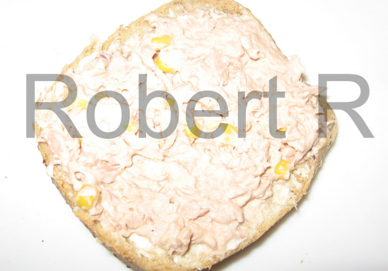 Śniadaniowa kanapka z tuńczykiem ekspres foto