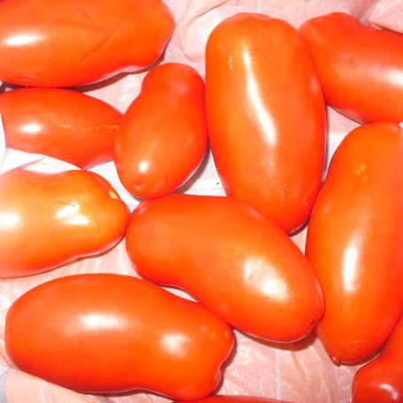 Krok 2 - Sok pomidorowy foto