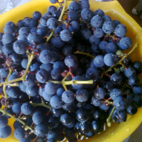 Krok 1 - Sok winogronowy na zimę foto