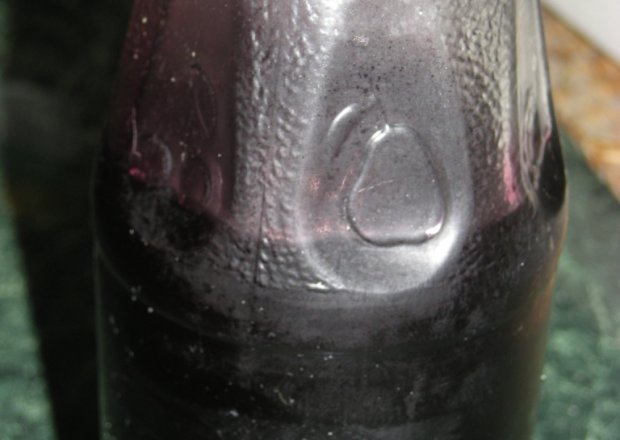 Fotografia przedstawiająca sok z dzikiego bzu