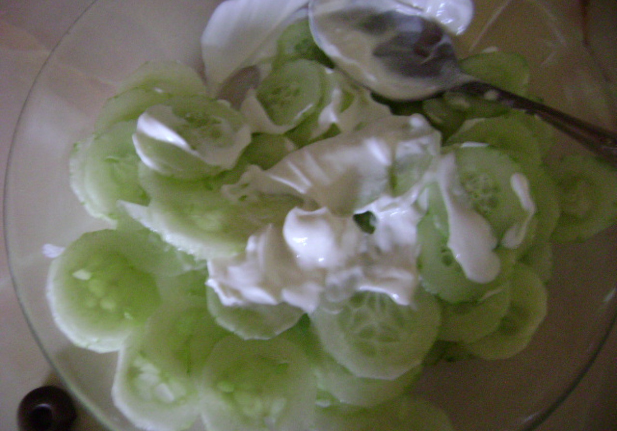 sorowka z ogorka i sczypiorku foto