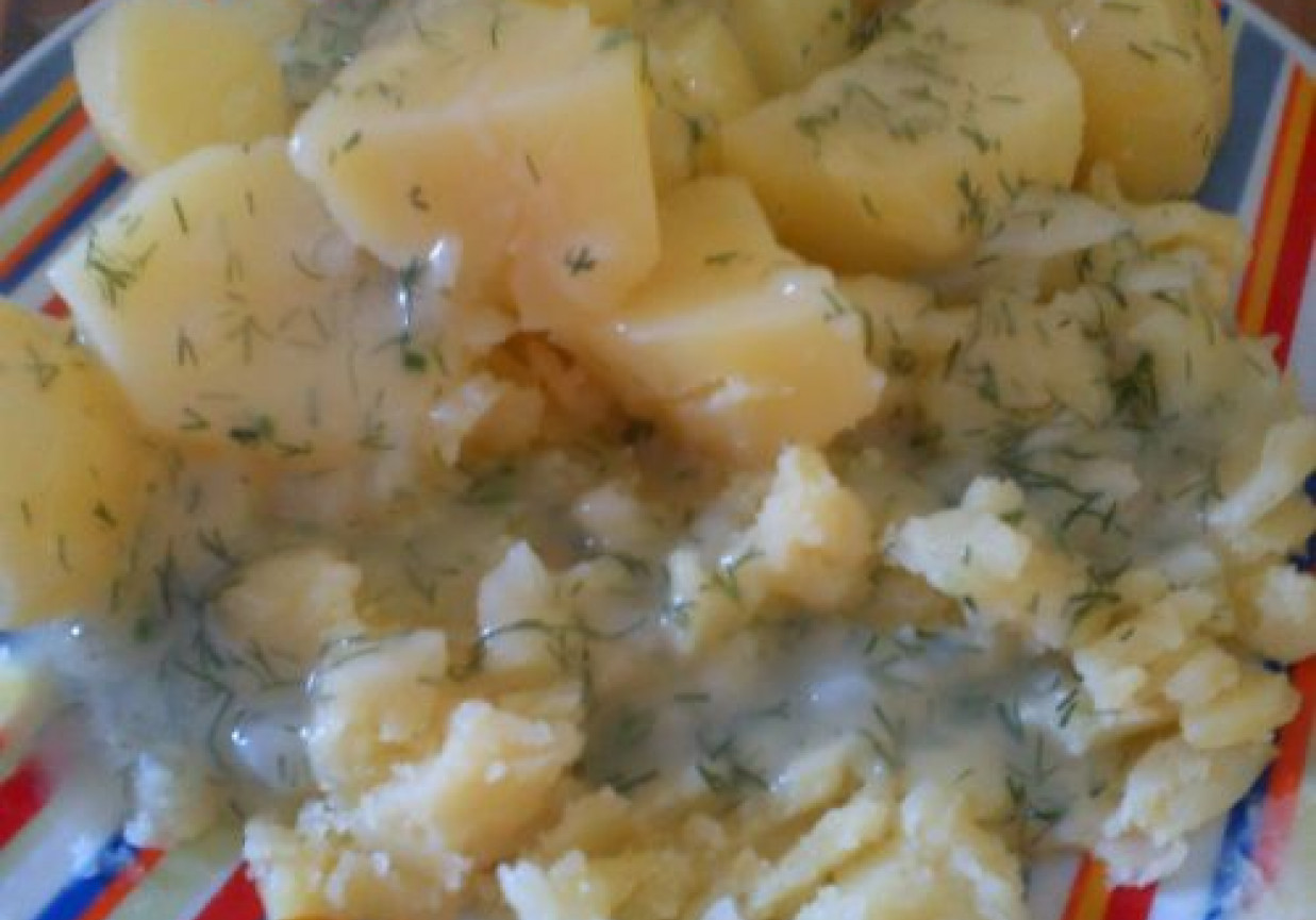 sos koperkowy, jajko i ziemniaki foto