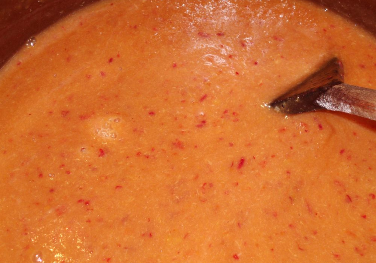 Sos pomidorowo-paprykowy foto