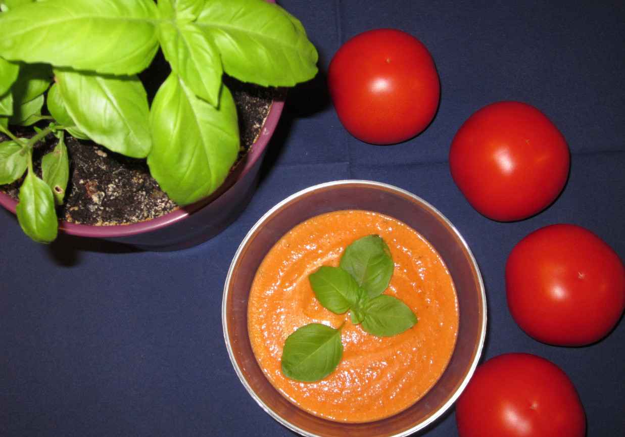 Sos pomidorowy ze świeżą bazylią foto