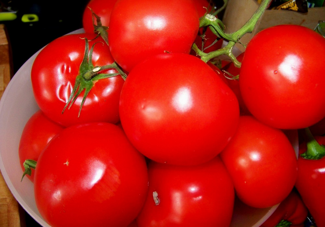 SOS - pora na pomidora foto