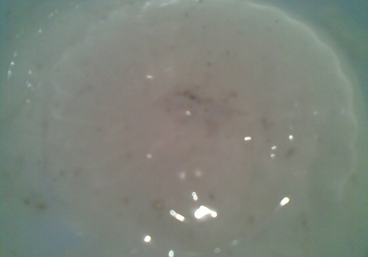 sos sałatkowy majonezowo-jogurtowy foto