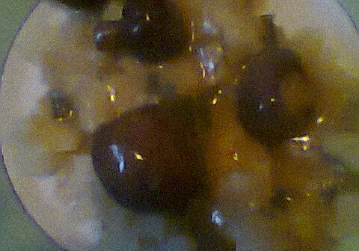 Sos z brązowych pieczarek z kiełbaską foto