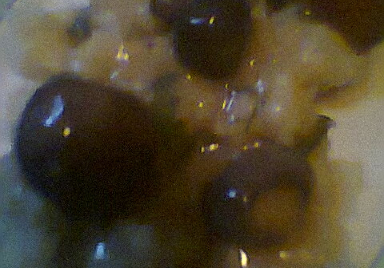 Sos z brązowych pieczarek z kiełbaską foto