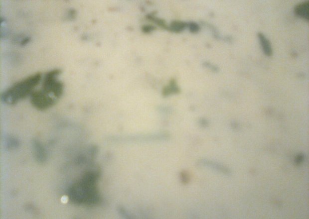 Fotografia przedstawiająca sos ziołowy