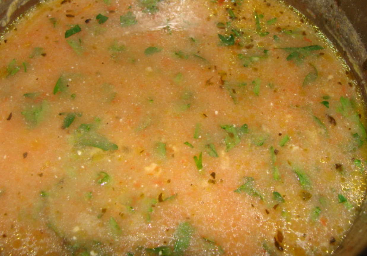Studencka zupa pomidorowa foto