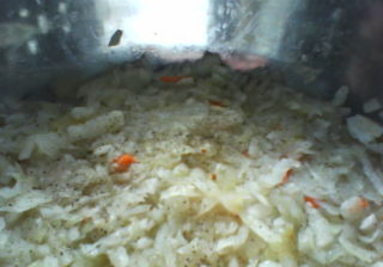 surówka z kiszonek kapusty z cebulą foto