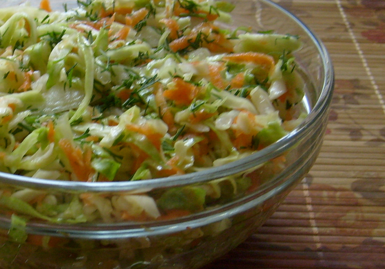 SURÓWKA Z MŁODEJ KAPUSTY Z MARCHEWKĄ I KOPERKIEM foto