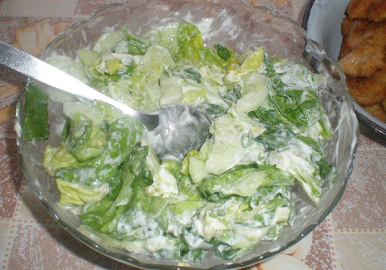 Surówka z sałaty i ogórka foto