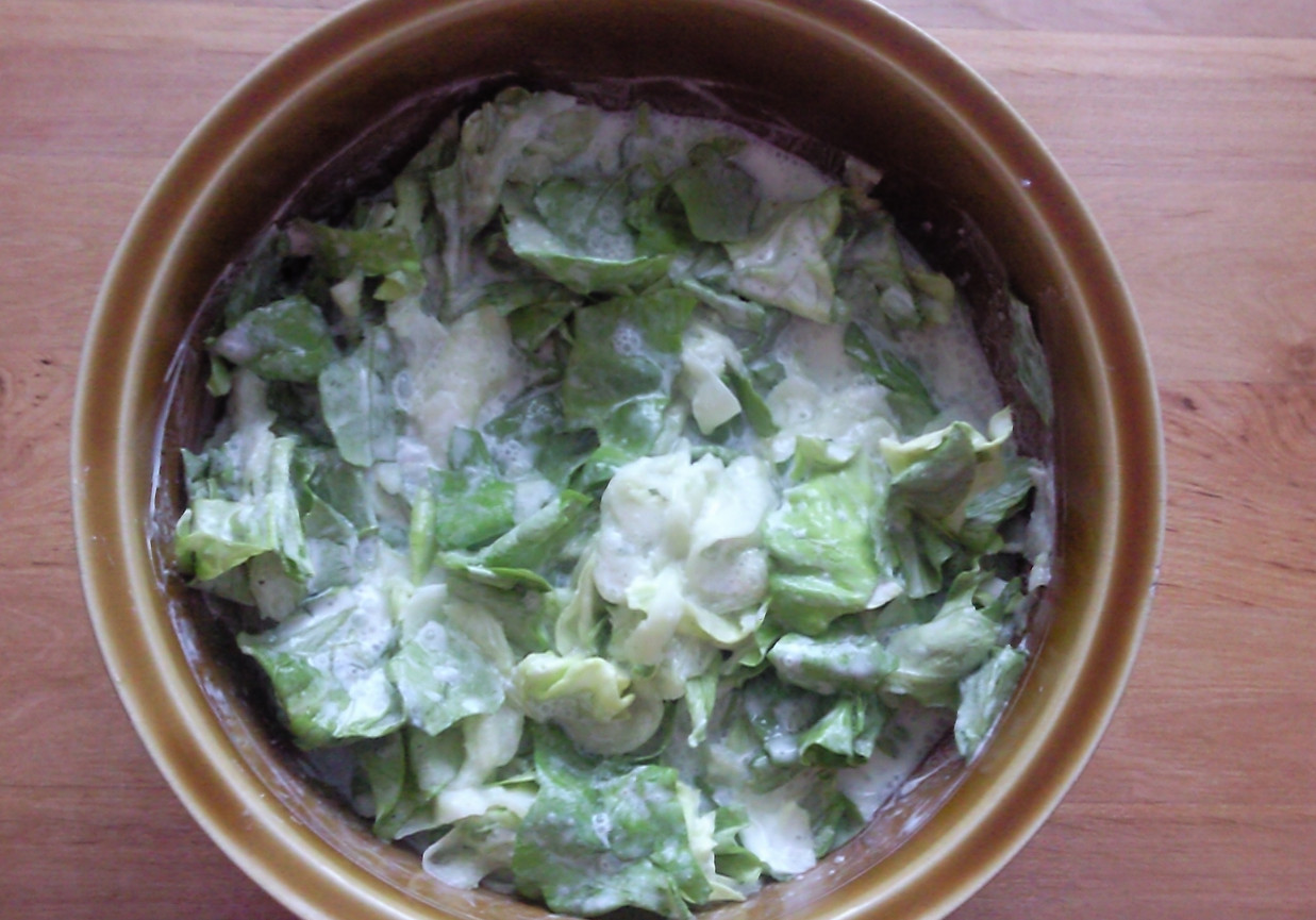 Surówka z sałaty i ogórka foto