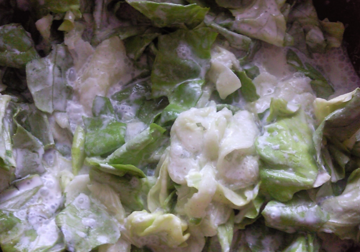 Surówka z sałaty i ogórka foto