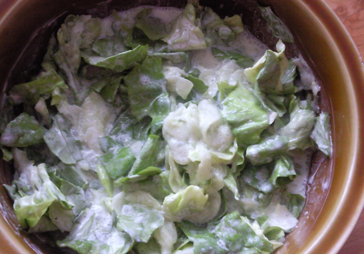 Surówka z sałaty i ogórka foto