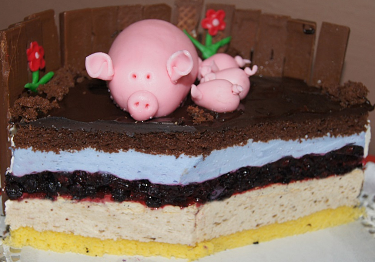 Świnki w zagrodzie - tort urodzinowy foto