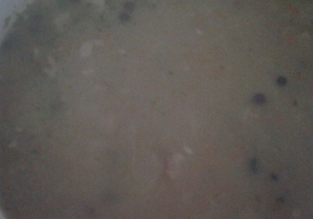 Sycąca zupa z fasolą jaś foto