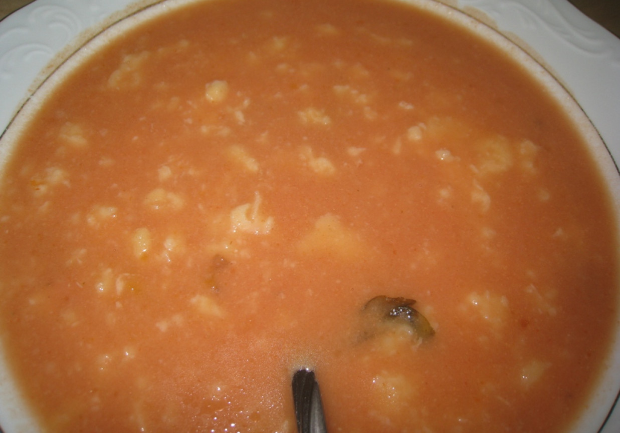 Sycylijska zupa pomidorowa foto