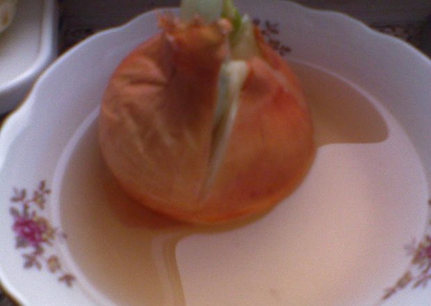 Fotografia przedstawiająca syrop z cebulu