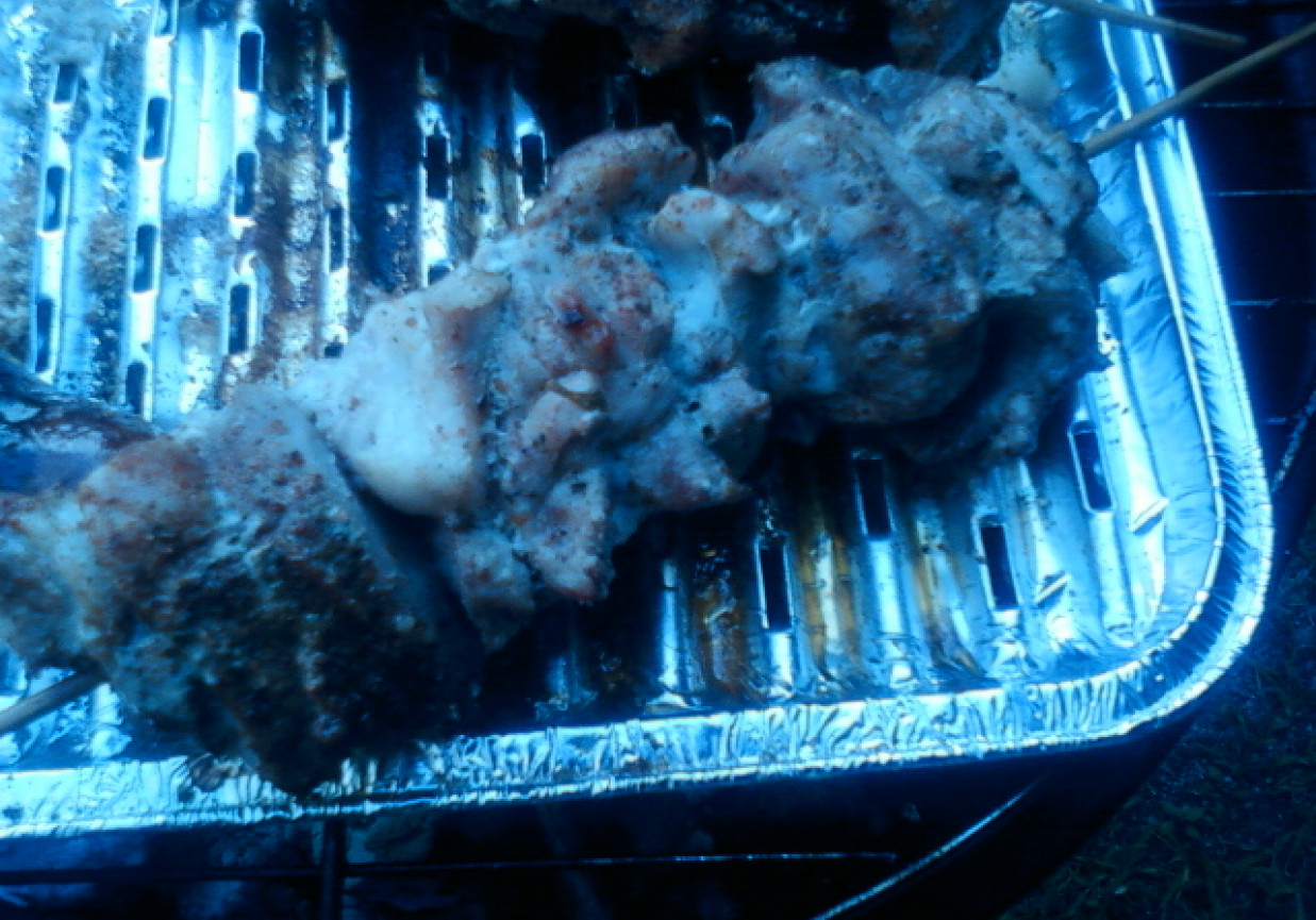 szaszłyk mięsny z grilla foto