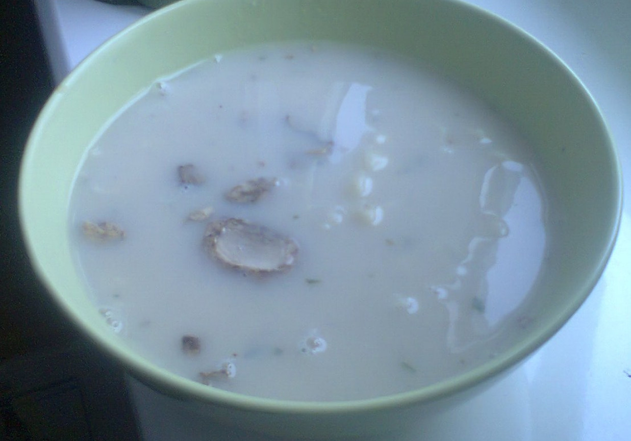 Szybka zupa grzybowa foto